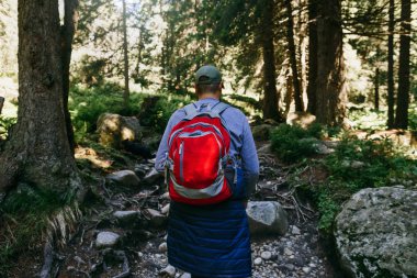 Yoğun orman yürüyüş sırt çantası olan adam. Seyahat ve backpacking yaşam tarzı kavramı
