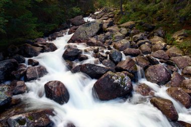 Güzel manzara ile dağ nehir. Dağ nehir Slovakya