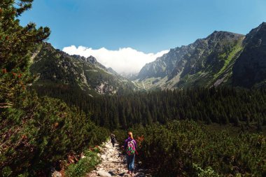 Kadın gezgin dağlarda yürüyüş sırt çantası ile. Seyahat ve backpacking yaşam tarzı kavramı