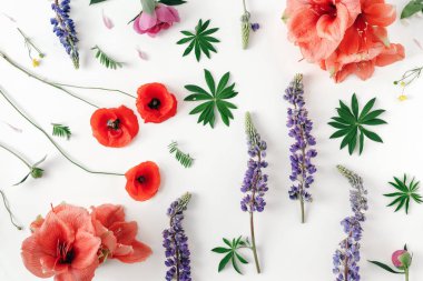 Çiçek desenli çiçekler, gelincik, nergis zambağı, peonies beyaz zemin üzerine yapılan