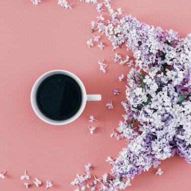 Fincan kahve dalları eflatun çiçekli pembe bir arka plan üzerinde yukarıdan