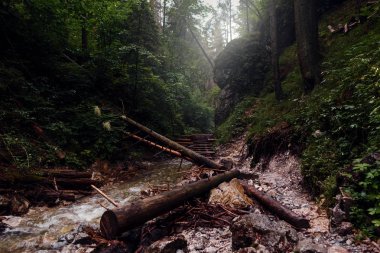 Manzara ile dağ nehir, sanki Bela Kanyon, Slovak cennet, Slovakya