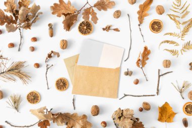 Üstten görünüm çeşitli kurutulmuş yaprakları, meşe palamutları, Kuru turuncu, beyaz zemin üzerine fındık