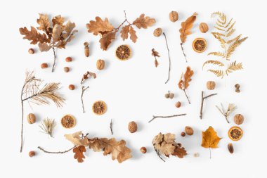 Beyaz arka plan üzerinde çeşitli kurutulmuş yaprakların sonbahar kompozisyon
