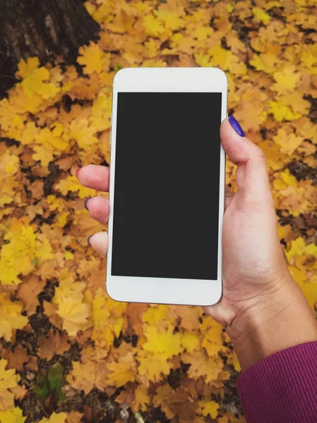 Smartphone with empty screen in female hand on background of colorful leaves