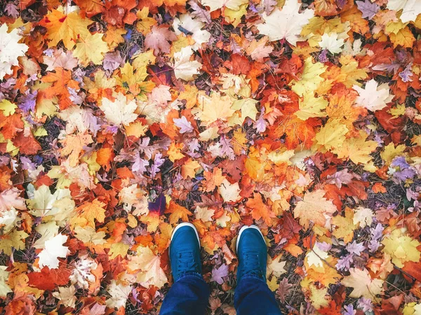 Male legs in sneakers outdoor on background of autumn leaves