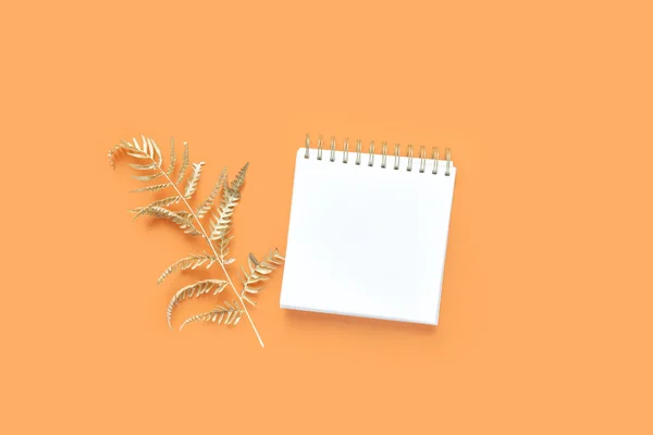 Top View Dried Fern Branch Notebook Orange Background — Stock Photo, Image