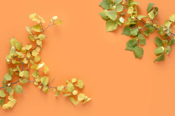 Kleurrijke Herfstbladeren Een Oranje Achtergrond — Stockfoto