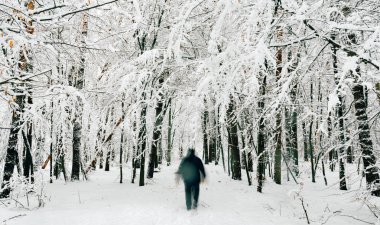 Karlı ormanda yürüyen yaşlı adam