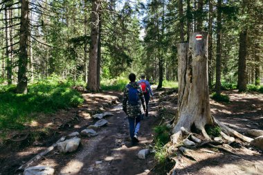Sağlıklı yaşam tarzı çift turistik yürüyüş yürüyüş yolu sırt çantaları