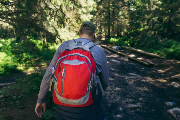 ヘルシー男観光森林トレイルをハイキングのバックパックします。 — ストック写真