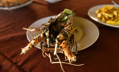 Bir tabak yakın çekim üzerinde ıstakoz kabuğu