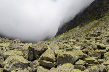 Kayalı puslu yaylalar 