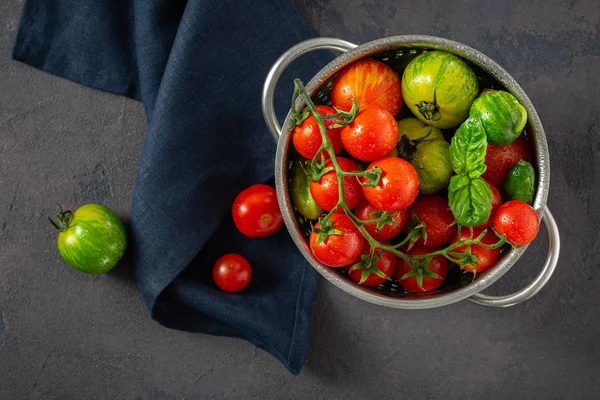 Свіжі помідори листя базиліка темний фон сито — стокове фото