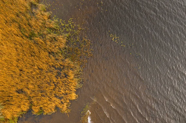 Colorful Autumn Landscape Aerial View Drone Shot — Stock Photo, Image