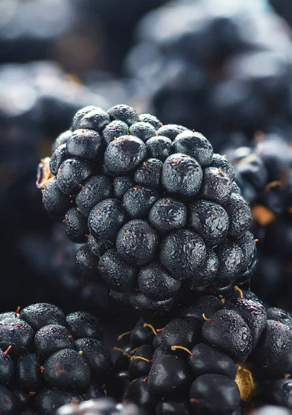 Close up of fresh blackberries Berries background — Stock Photo, Image