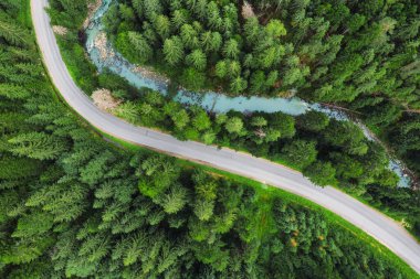 Yeşil çam ormanının içinden geçen asfalt dağ yolu.