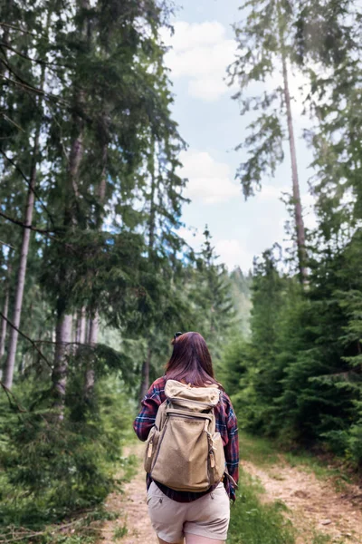 Вид Сзади Молодая Женщина Ходит Рюкзаком Лесу Путешествия Летние Каникулы — стоковое фото