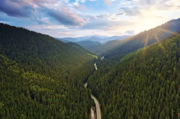 Asfalto Estrada Montanha Através Das Montanhas Colinas Com Pinhal Verde — Fotografia de Stock