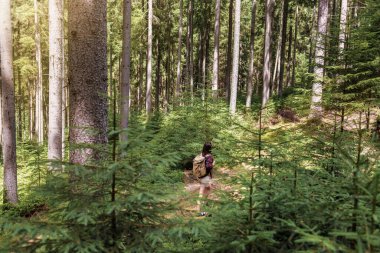 Genç bir kadın ormanda sırt çantasıyla yürüyor. Aktif ve sağlıklı yaşam tarzı kavramı
