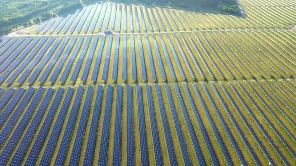 Campos Visión Arial Con Paneles Solares Energía Solar — Vídeo de stock