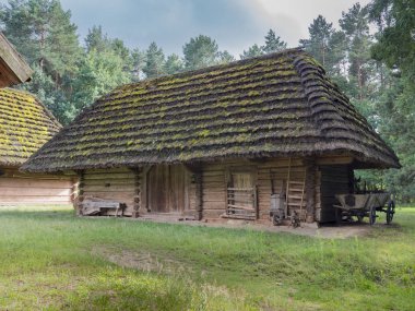 Samandan çatılı, yosun kaplı eski ahşap tuvalet.