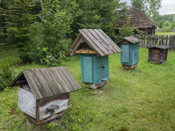 老式木蜂巢在 Kolbuszowa 的露天民俗博物馆 波兰在夏天2018 — 图库照片
