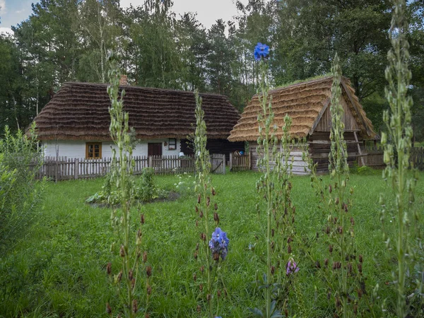 Grupa Drewnianych Thatched Domki Dalej Się Ogrodzie Świeżym Powietrzu Folk — Zdjęcie stockowe