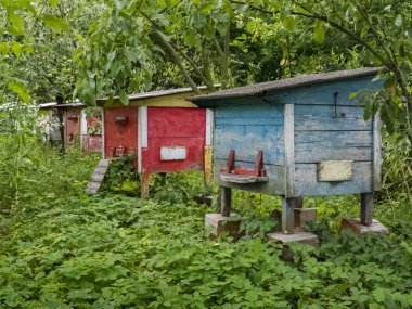 Yaz aylarında arı bahçedeki renkli ahşap kuş yuvaları