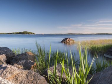 Panoramik yaz shore reed, su ve ufukta bir orman dışına taşıyorsa kayalık adalar ile İsveçli bir gölde
