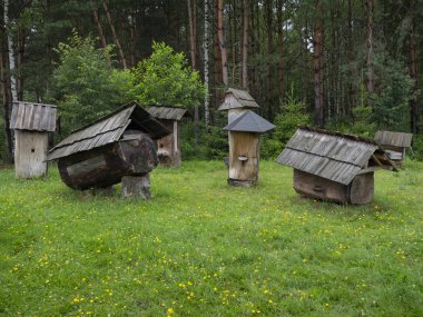 Vintage wooden beehives in the open-air Folk Museum of Kolbuszowa, Poland in summer clipart