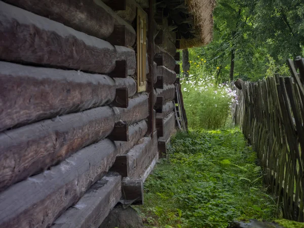 Stare Drewniane Kryte Strzechą Domek Ogrodem Świeżym Powietrzu Folk Museum — Zdjęcie stockowe