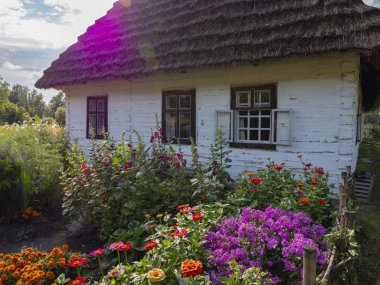 Pipet çatılı beyaz bir ev. Polonya 'nın Kolbuszowa köyünden eski ahşap bir ev manzarası
