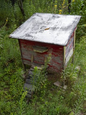 Polonya kırsalındaki bitki örtüsü arasında arılar için kırmızı bir arı kovanı. Çayırın ortasında bir arı evi ve meyve ağaçları olan bir meyve bahçesi..