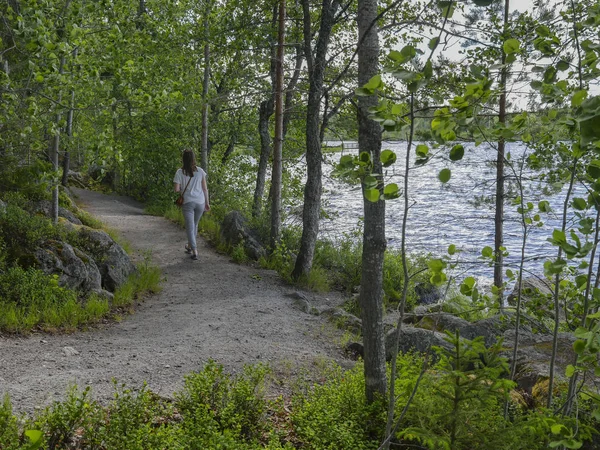 Sommaren Över Sjö Och Skog Sverige Med Silhuett Tjej Som — Stockfoto