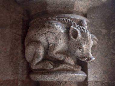 Yakın çekim bir yaban domuzu (2018 yazında Malbork Castle, Polonya gösterilen bir kumtaşı sütun sermaye)