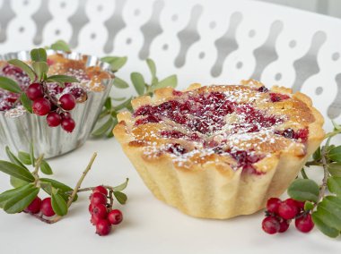 İsveç kirazı twigs kırmızı meyveler ile çevrili beyaz bir tepsi üzerinde Çıtır çerez İsveç kirazı (Vaccinium vitis-idaea)
