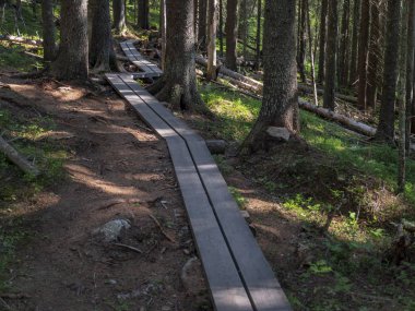 Designated pedestrian route through the national park