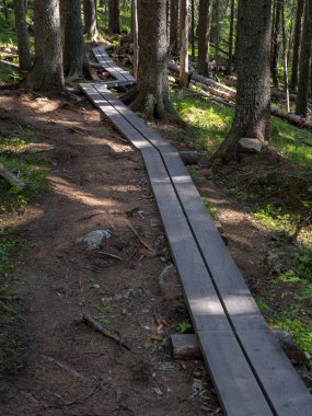 Designated pedestrian route through the national park