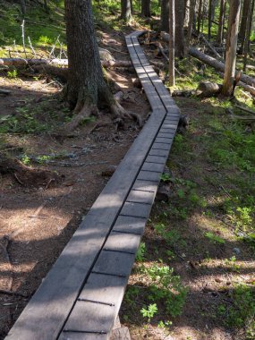 Designated pedestrian route through the national park