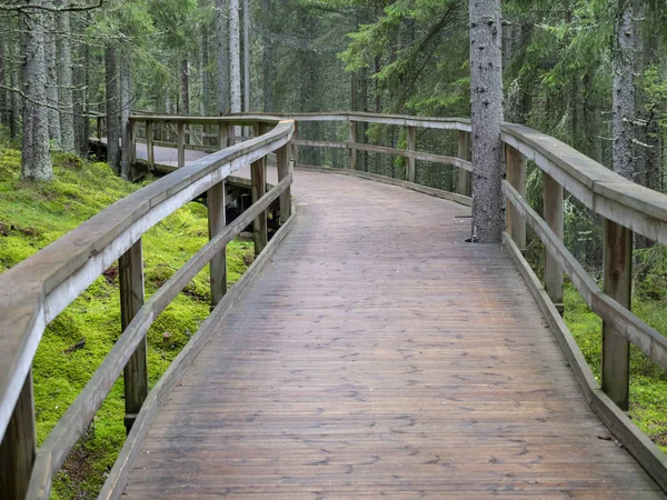 Trägångbro Som Leder Genom Svår Bergsled Designad Med Naturskydd Åtanke — Stockfoto