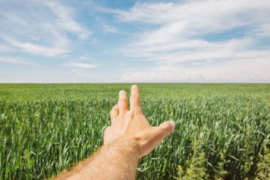 Beyaz adam elini yeşil bir tarlaya ve bulutlu mavi bir gökyüzüne doğrultur.