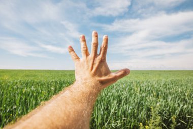 white man points his hand to a green field and a blue sky with clouds clipart