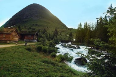 Norveç'te dağ zemin karşı Nehri yakınında ahşap evler standı. Bitkisel çatılar