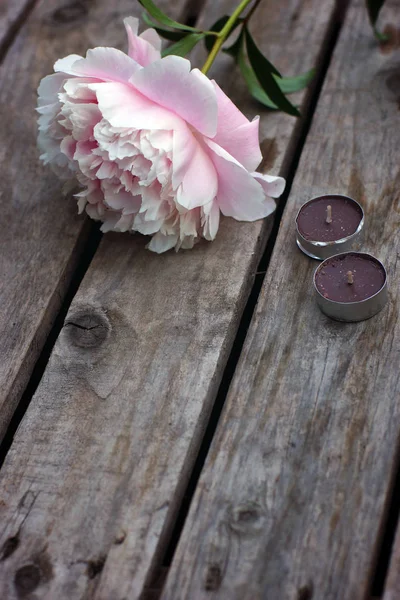 A gently pink peony flower lies on a wooden table next to candles that are about to ignite