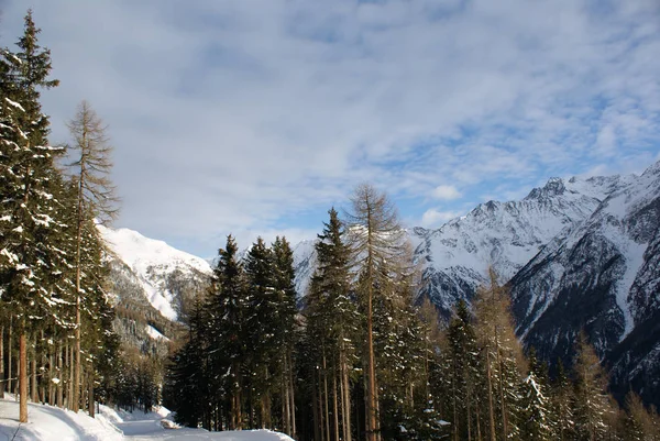 Sendero de esquí de montaña en el bosque en las montañas alpinas — Foto de Stock