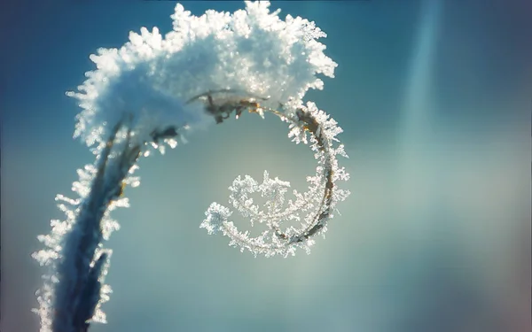 En anläggning med en spiral täckt med is och snö på en blå vinter bakgrund — Stockfoto