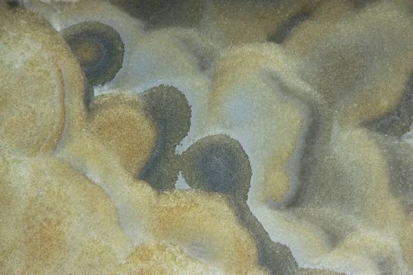 Hintergrund Aus Naturstein Onyx Mit Blasen Und Grauen Flecken Auf — Stockfoto
