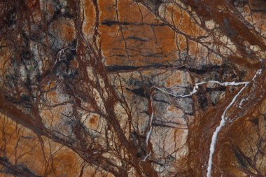 Mermer arka plan, dallı damarlar ile parlak renkli doğal taş Bidasar Kahverengi denir