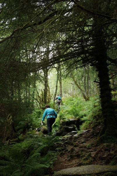 Travel to Norway, trekking in the forest up the mountain, tourists go down the path one after another — Stock Photo, Image